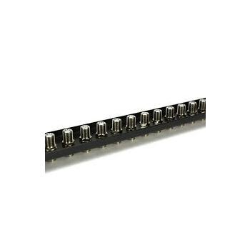 24 Port F Connector Patch Panel for 19" Rack.