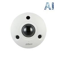 Dahua IP 12MP AI Fisheye Panoramic Camera